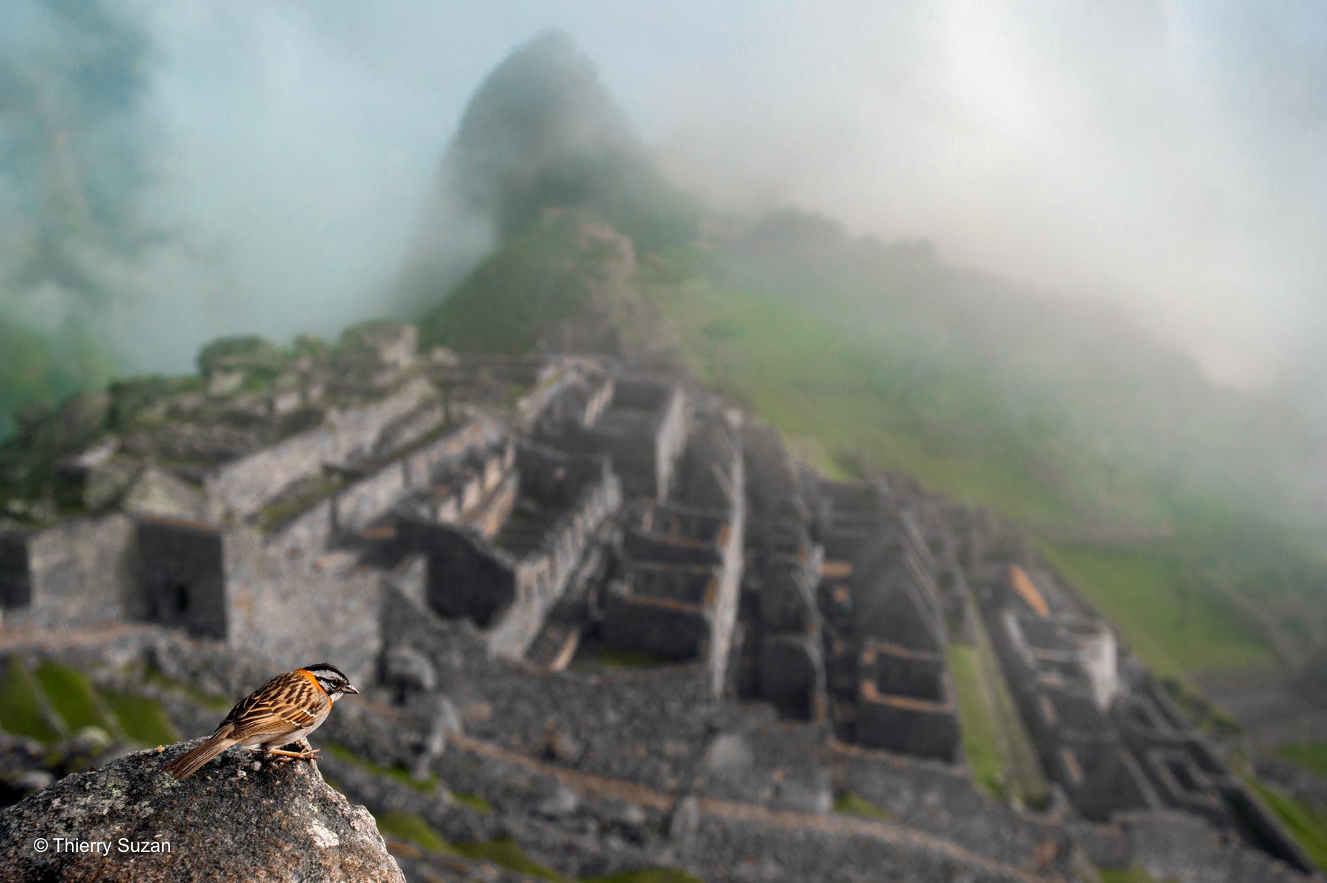 Le génie des Incas | Machu Picchu